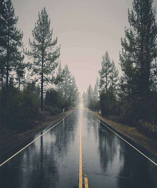A long highway is in the middle of the screen. Trees are on either side of the street. The sky is overcast.